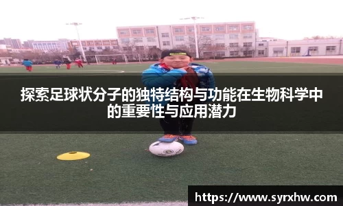 333体育赛事直播